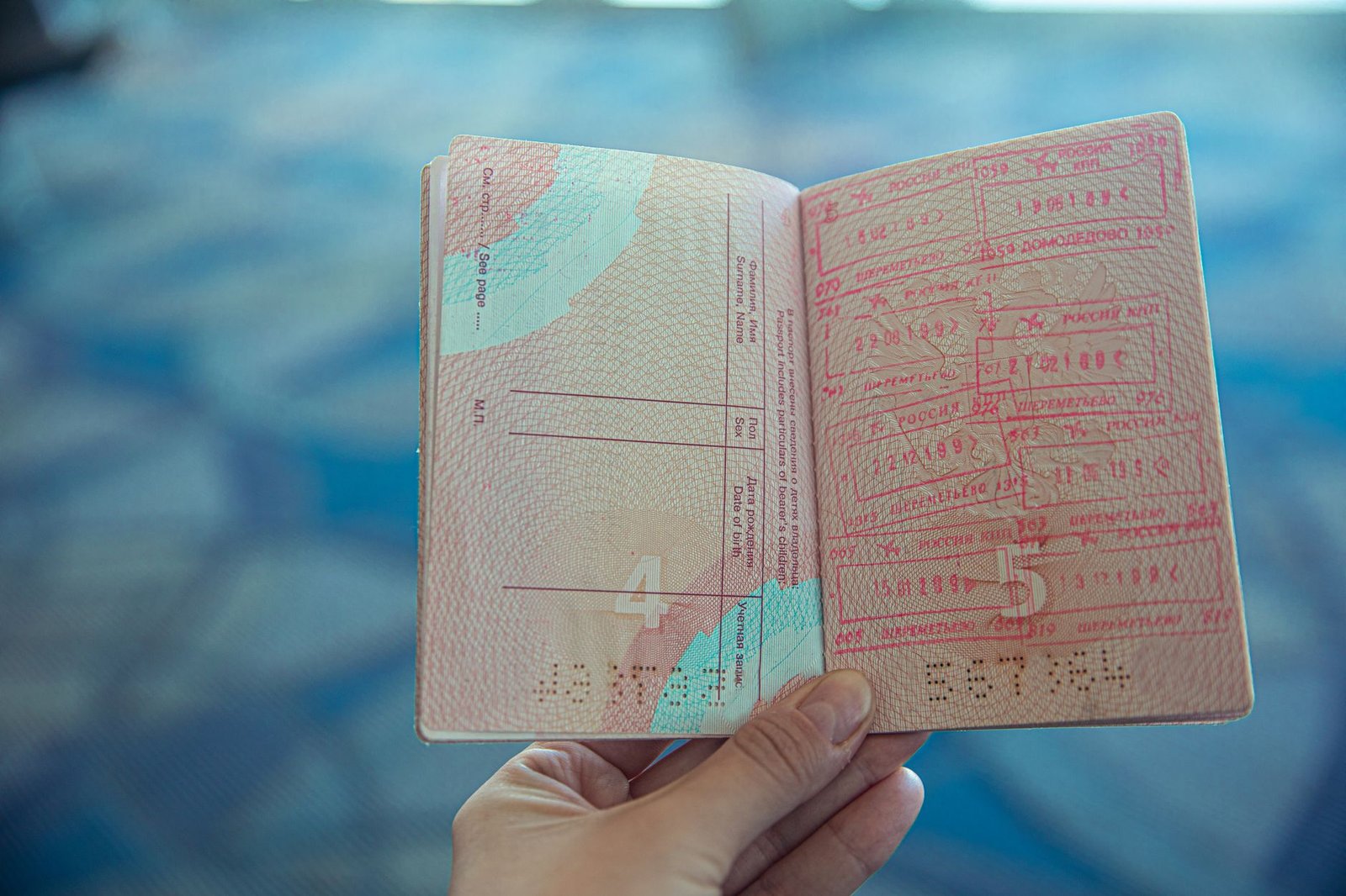Pasaport başvurusu sırasında kontrol ve biyometrik veri işlemi